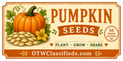 Pumpkin Seeds